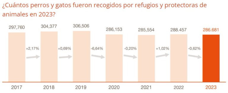 En 2023 se abandonaron 170.712 perros y 115.970 gatos