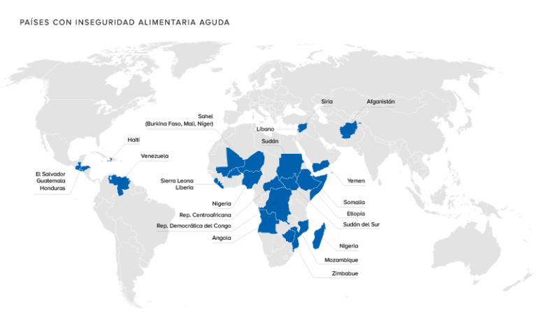 Datos sobre el hambre en el mundo