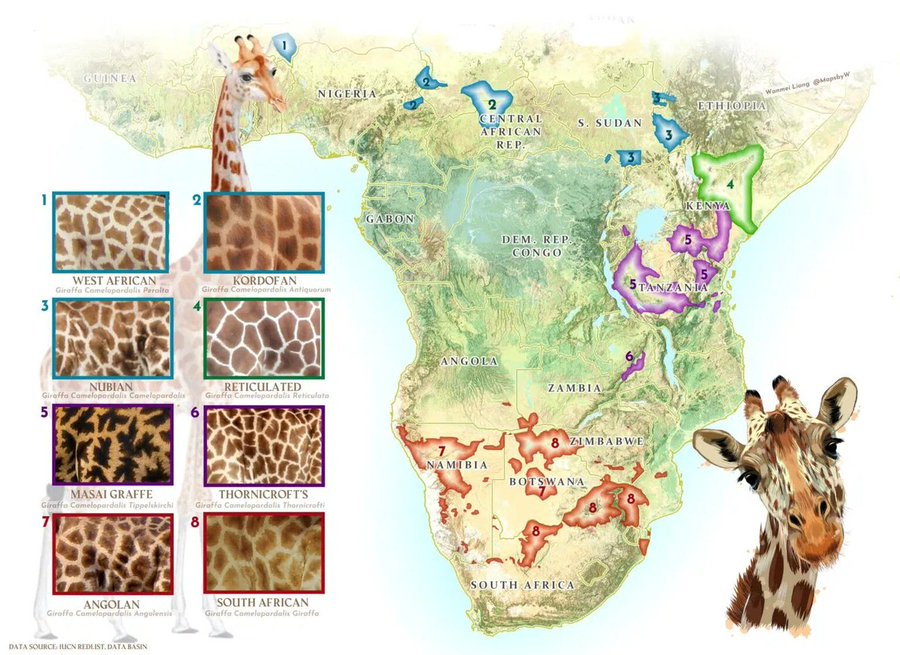 Mapa: Hábitat de las jirafas