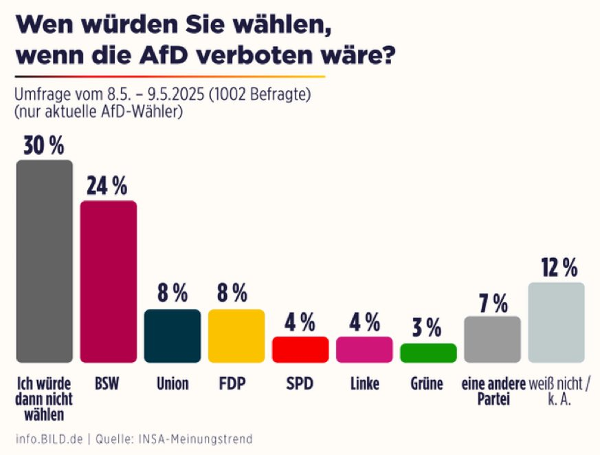 ¿Qué votarían los alemanes si Alternativa por Alemania fuese prohibida?